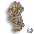 Black Cherry Pie Flower