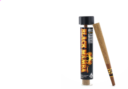 Black Mamba Cannabis - Black Mamba XXL Master Kush Infused Preroll (I) 1.2g