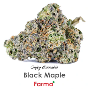 Injoy - Injoy Cannabis Black Maple