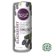Blackberry Sparkling Hemp Water | 12oz 50mg (CBD)