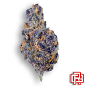 Blackberry Haze Flower