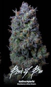 Black N Blue 10 Pack Good Night Prerolls
