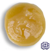 Blank Check Rosin Concentrate | 1g (Live Hash Rosin)