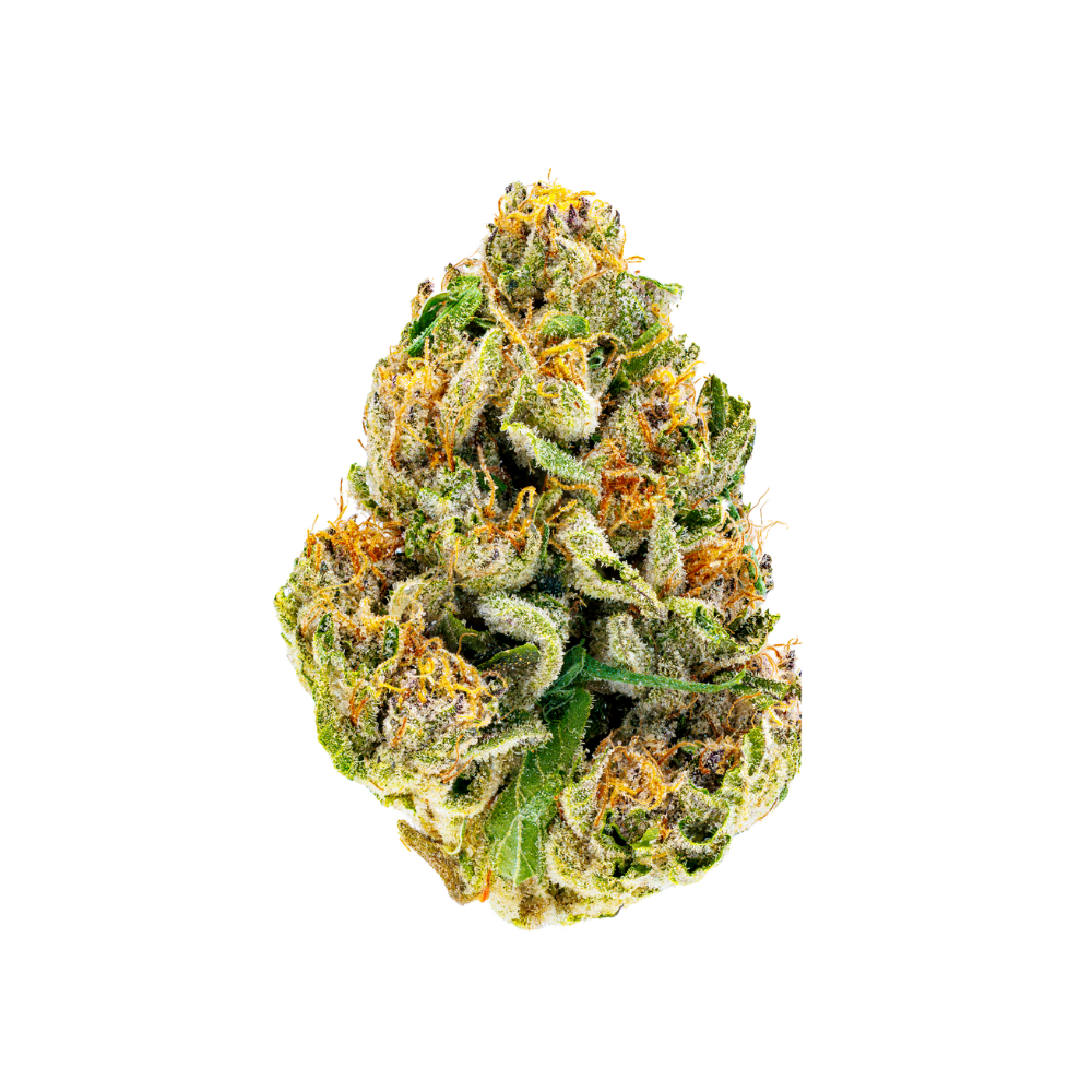 Cherry Paloma 14g - Flower