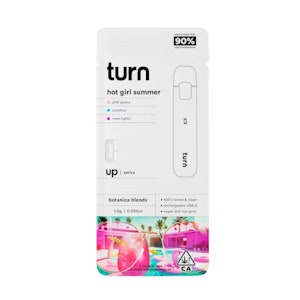 TURN - HOT GIRL SUMMER DISPOSABLE 1G - TURN