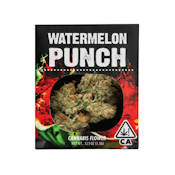 WATERMELON PUNCH 3.5G - DECIBEL GARDENS