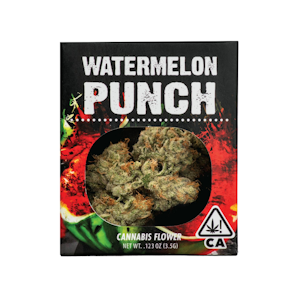 DECIBEL GARDENS - WATERMELON PUNCH 3.5G - DECIBEL GARDENS