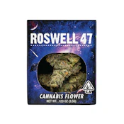 ROSWELL 47 3.5G - DECIBEL GARDENS
