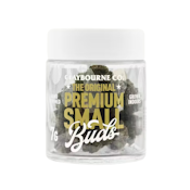 GMO (SMALLS) 7G - CLAYBOURNE CO