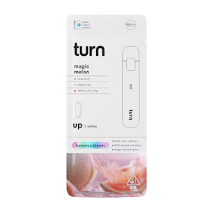 TURN - MAGIC MELON DISPOSABLE 1G - TURN