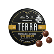 TERRA BITES - SEA SALT CARAMEL - KIVA CONFECTIONS