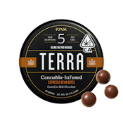 TERRA BITES - ESPRESSO 100MG - KIVA CONFECTIONS