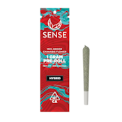 YUZU SOUR 1G - SENSE