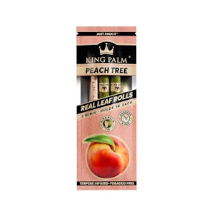 KING PALM - PEACH TREE KING PALM MINI CONES (2PK) - KING PALM