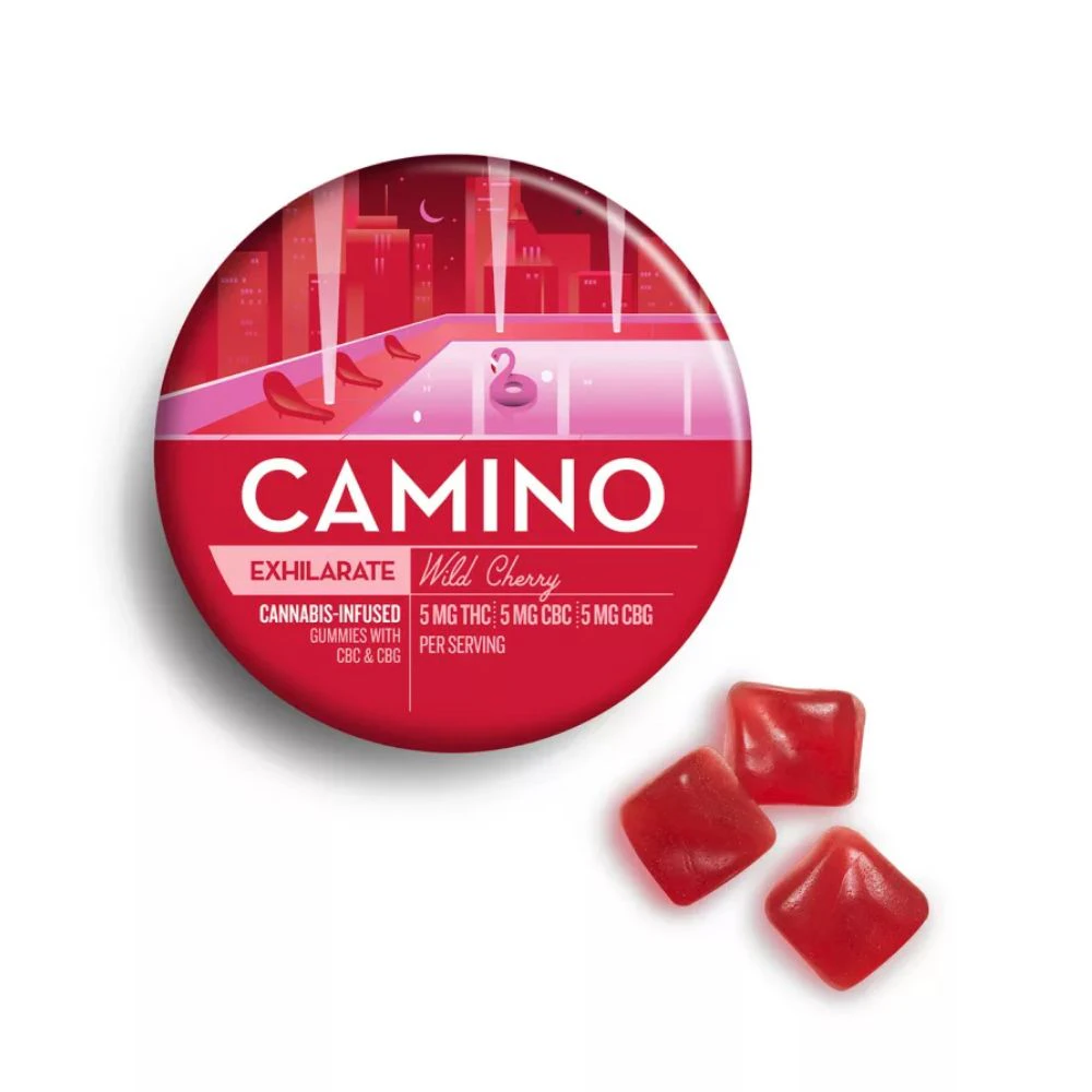 Kiva Confections - CAMINO - WILD CHERRY CBC CBG 5:5:5 - KIVA CONFECTIONS Main Image