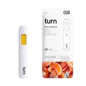 DISPOSABLE - THE MANDARIN 1G - TURN