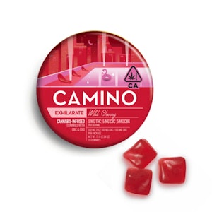 Kiva Confections - CAMINO - WILD CHERRY 100MG - KIVA CONFECTIONS