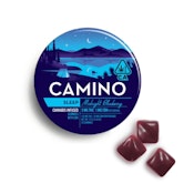 CAMINO - 5:1 CBN MIDNIGHT BLUEBERRY 100MG - KIVA CONFECTIONS