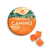 CAMINO - 1:2 CBG FRESHLY SQUEEZED 100MG - KIVA CONFECTIONS