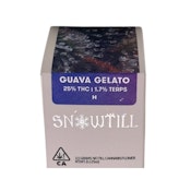 GUAVA GELATO 3.5 - SNOW TILL