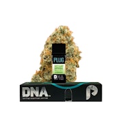 DNA - GHOST TRAIN 1G - PLUGPLAY