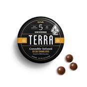 TERRA BITES - MILK CHOCOLATE SEA SALT CARAMEL - KIVA CONFECTIONS