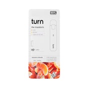 THE MANDARINE DISPOSABLE 1G - TURN