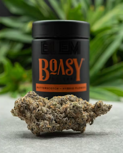 BLEM - BLEM - Flower - Boasy - 3.5G