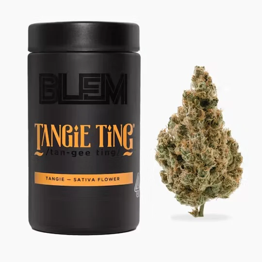 BLEM - BLEM: Tangie Ting 10g (S) Main Image