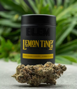 BLEM 10G Lemon Ting Indoor Flower
