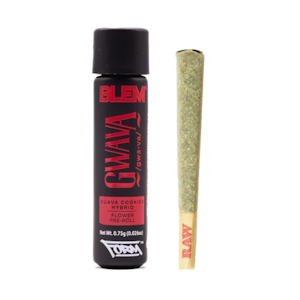 BLEM - BLEM | GWAVA | PREROLL | .75G