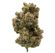 BLEM 3.5g Unruly OG Indica