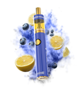 Blueberry Lemon Haze Disposable - 2g - DMC