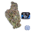 Blue Float Flower | Quarter Special