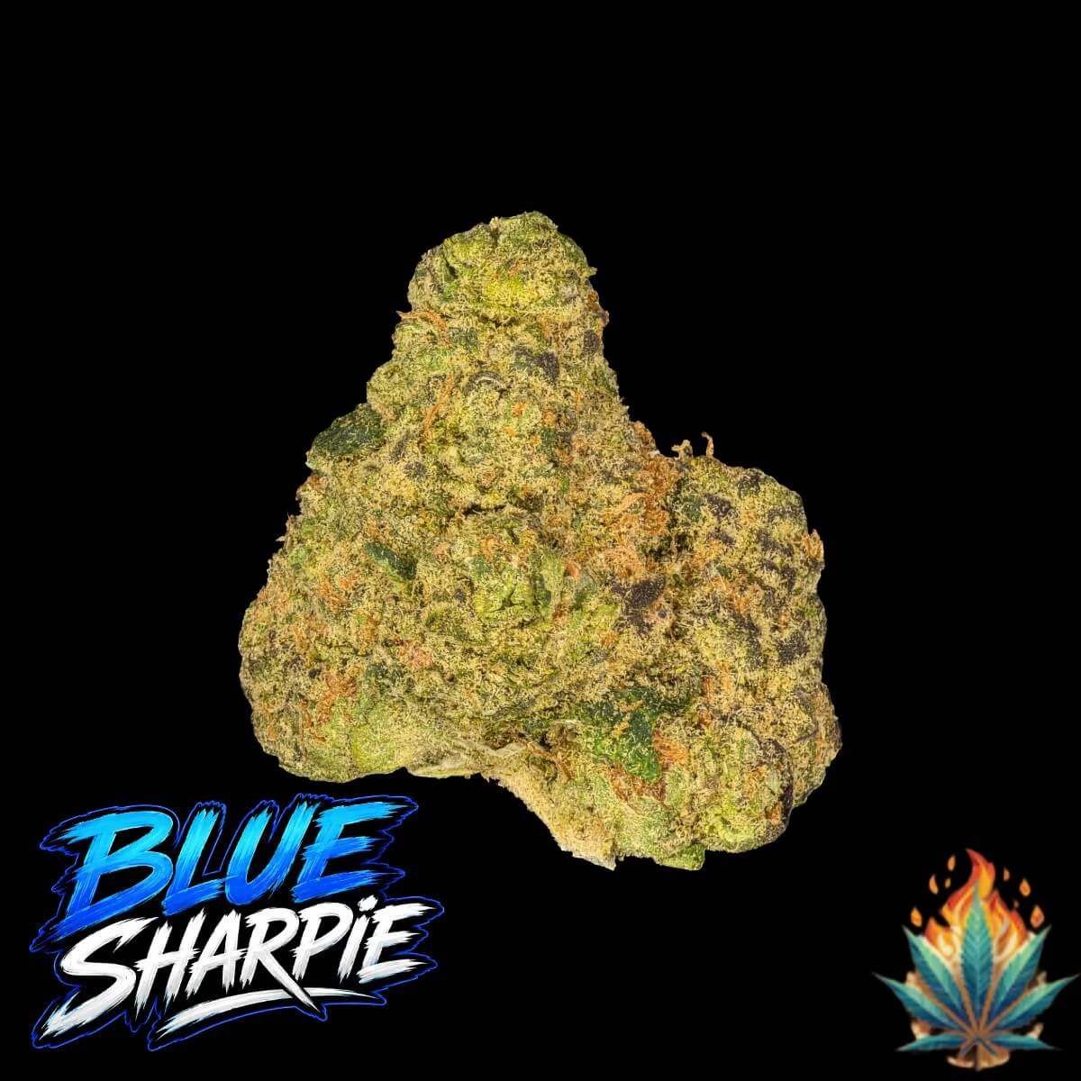 Native Fire - Native Fire "OZ"- Blue Sharpie Main Image
