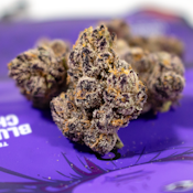 Teds Budz - Blueberry Cherries Flower - 3.5G