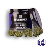Blueberry Flower | Oz Special