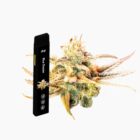 Glorious Cannabis Company - Drip - 1g AIO Vape - Blue Dream (Sativa) Main Image