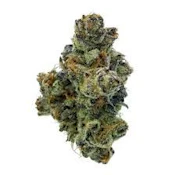 BOLO RUNTZ x BLUE NERDZ 1/4oz