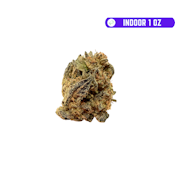 RG $99 Bolo Runtz (I)(H) 1oz (INDOOR)