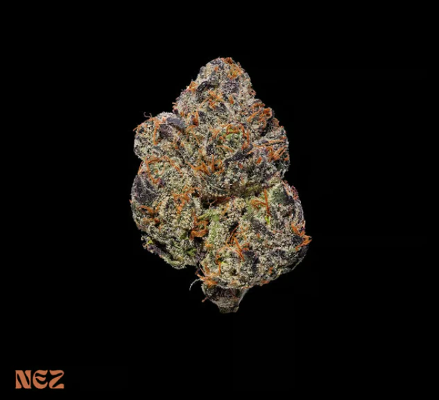 NEZ - BOLO Runtz Premium Flower - 3.5g Main Image