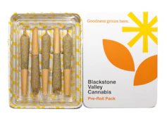 B.O.P. - 5pk, 2.5g - Blackstone Valley Cannabis