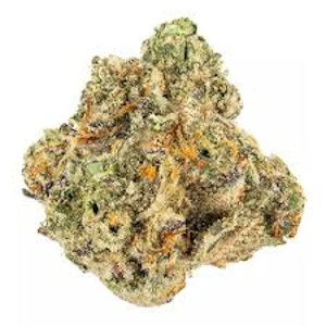 DDR Group LLC - Buds - Boston Runtz