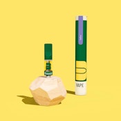 The Botanist | Cartridge | Banana Runtz | 1g