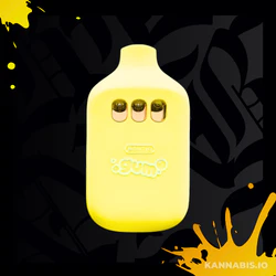 Boutiq - Boutiq Gum 2G — Z-41 (H) / Lemon Cherry (H) / Mango Melon (I) Main Image