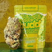 BUDD - Pineapple Express - 3.5g