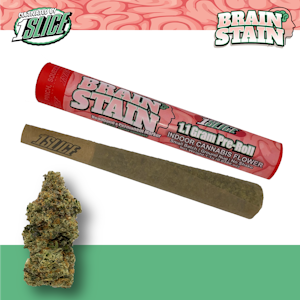 1Slice - 1Slice - Brain Stain - 23.7% THC - 1.1g - Pre-Roll