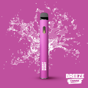 Breeze Disposable - Berry Burst -1G