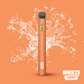 Breeze Disposable - Sweet Peach -1G