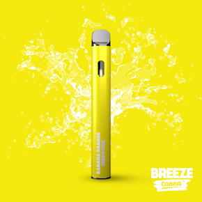 Breeze Disposable - Banana Orange Smoothie -1G